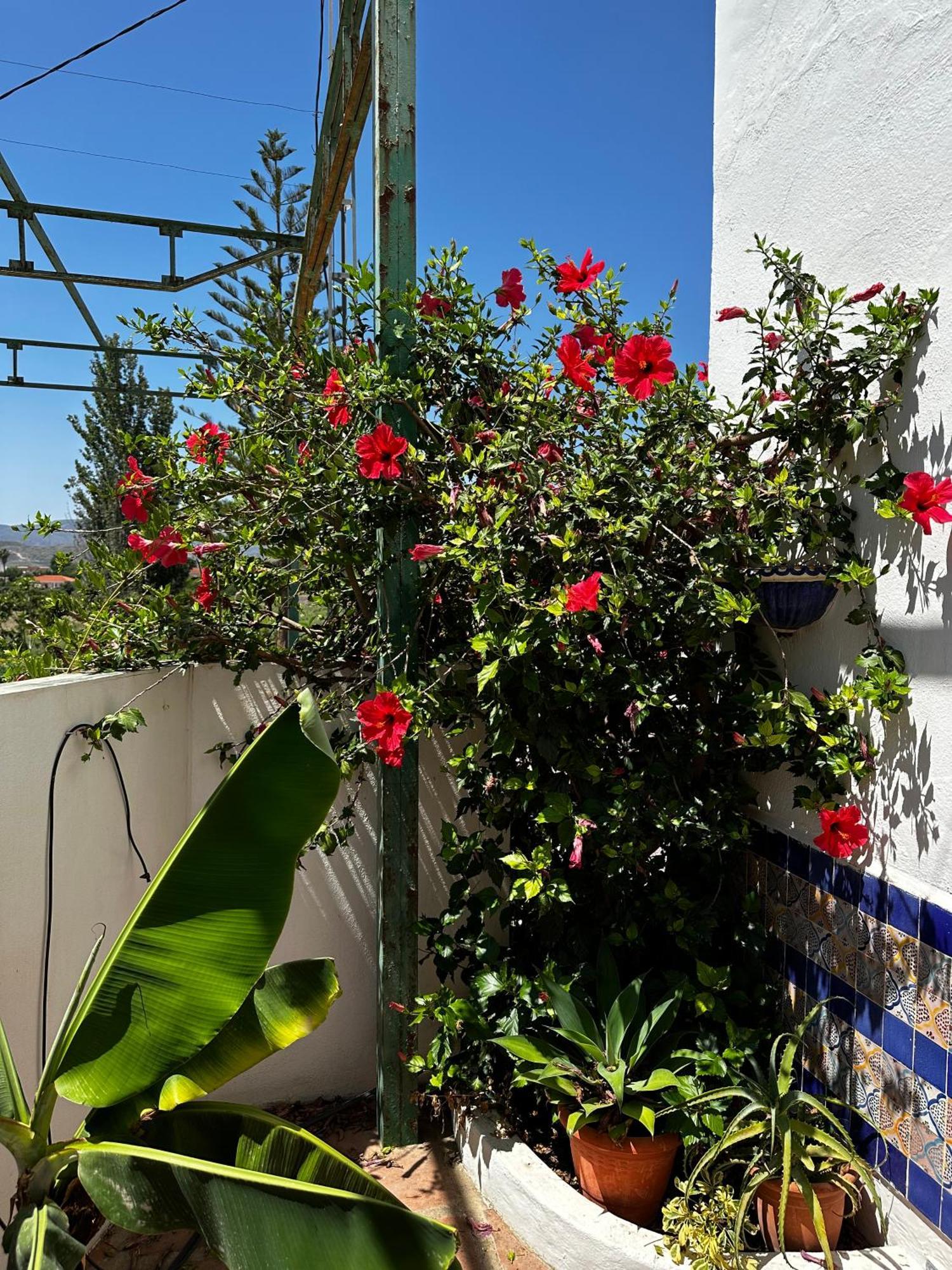 Complejo Rural Lo Arrabal Villa Malaga Exterior photo